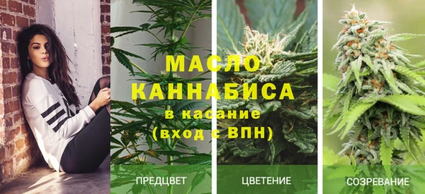 дживик Абаза