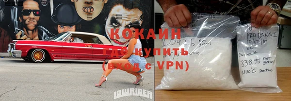 дживик Абаза